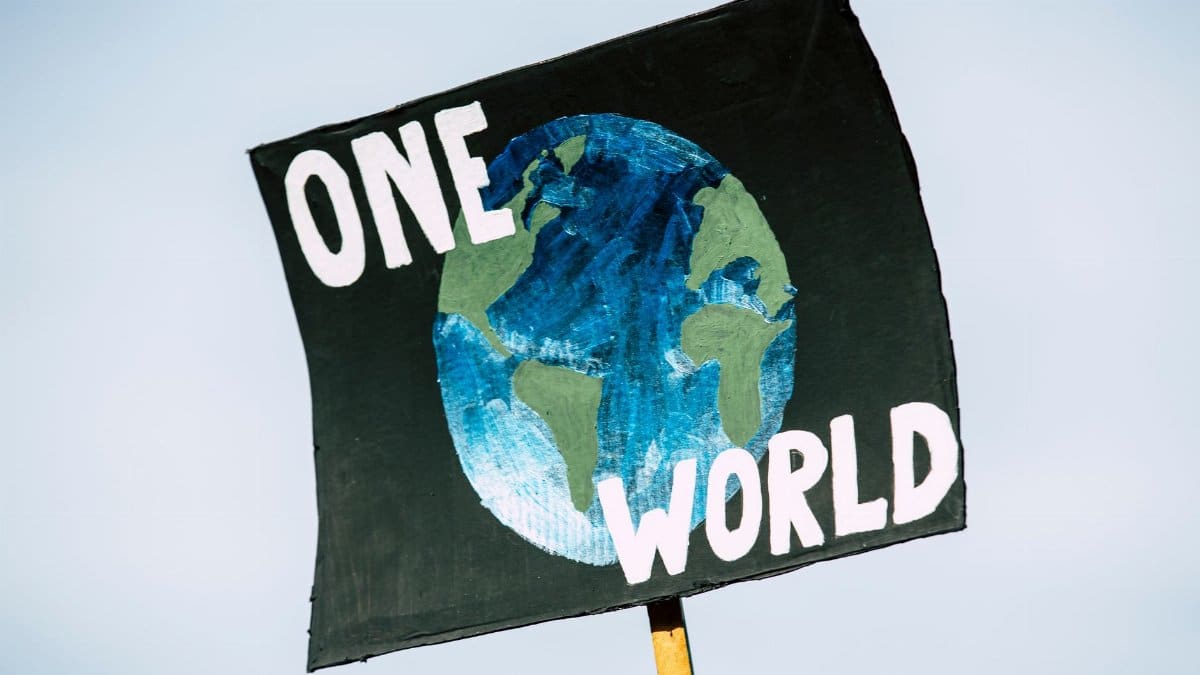 Close-up of a protest sign with Earth and 'One World' text, symbolizing climate change awareness.