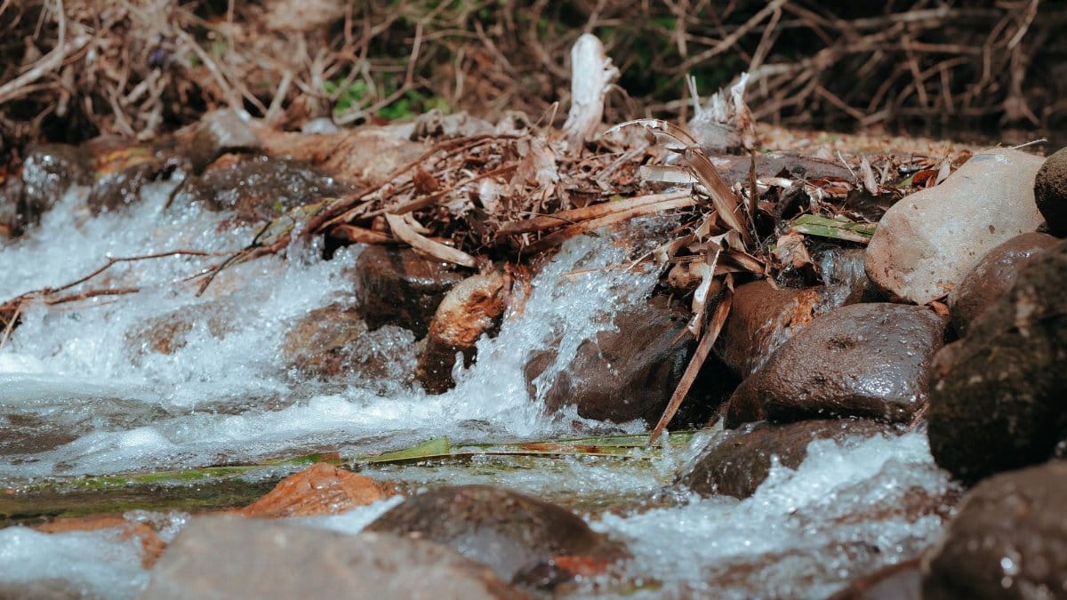 A tranquil stream cascading over rocks in a forest setting, capturing the essence of nature.