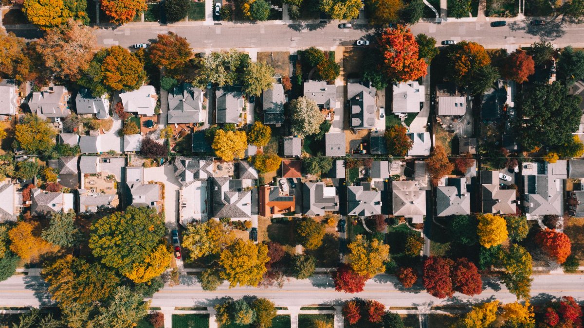 Top view of residential buildings between bright lush trees and straight roadways in suburb in fall