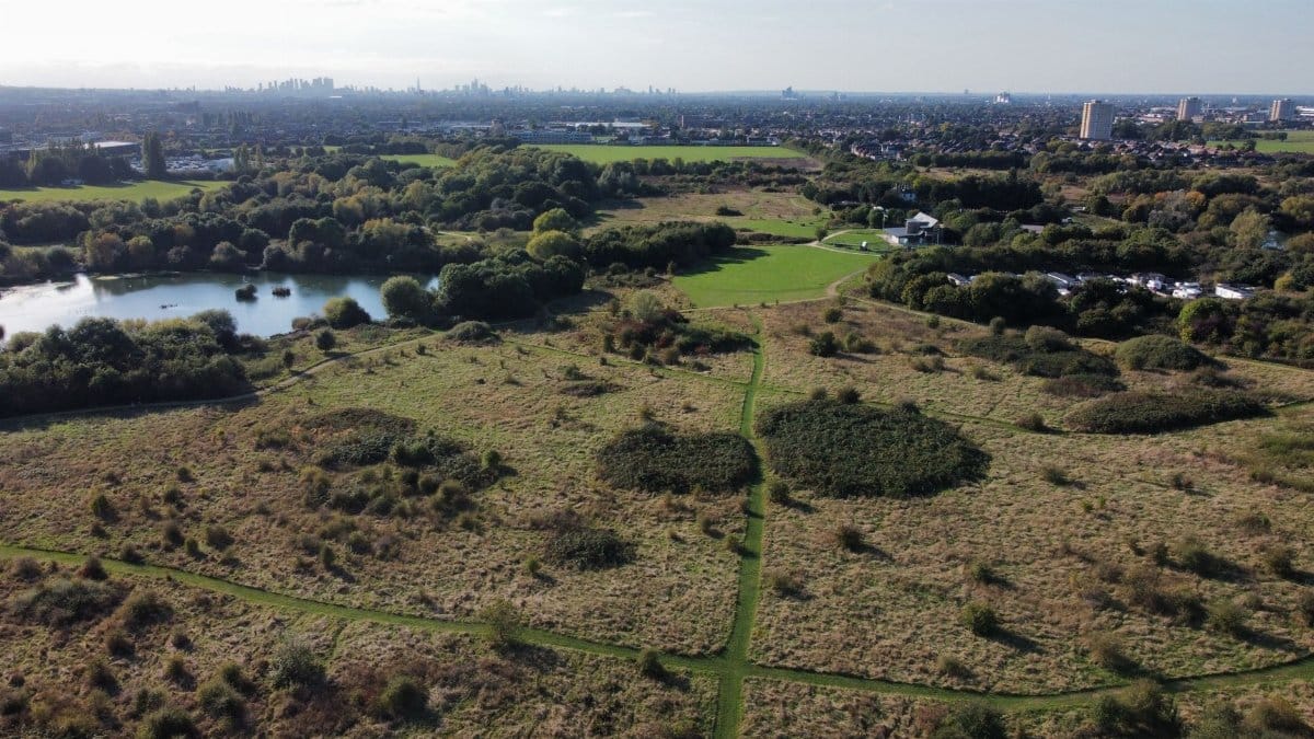 Scenic aerial view of urban green space with city skyline in the background.