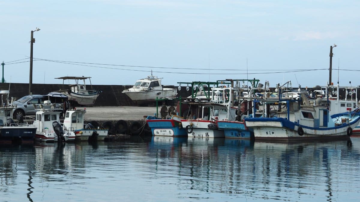 A peaceful harbor scene featuring multiple fishing boats docked along the pier on a calm day.