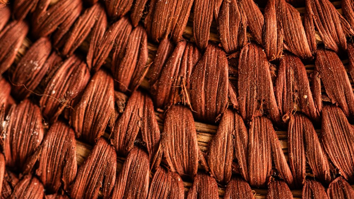 Detailed macro shot of a woven texture showcasing intricate patterns and earthy tones.