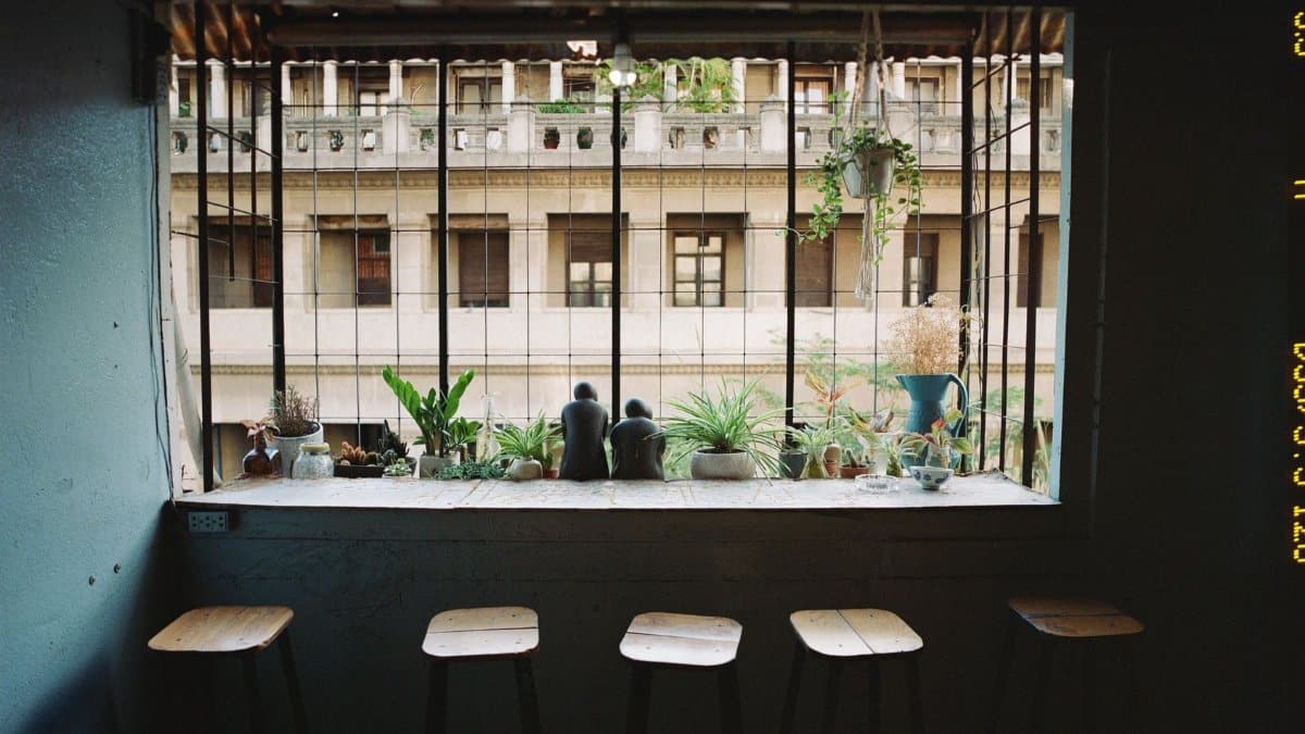 A cozy indoor cafe setting featuring a window view with potted plants and stools.