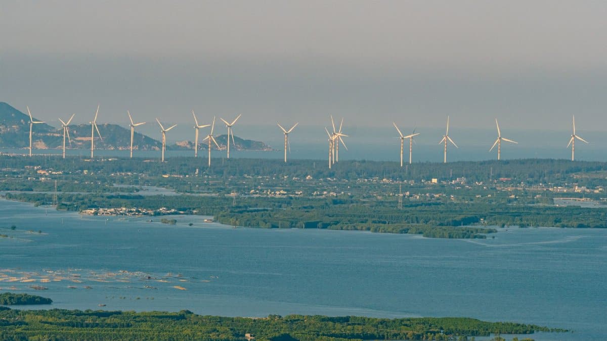 A scenic view of wind turbines along the coastal landscape in Quy Nhơn, Việt Nam.