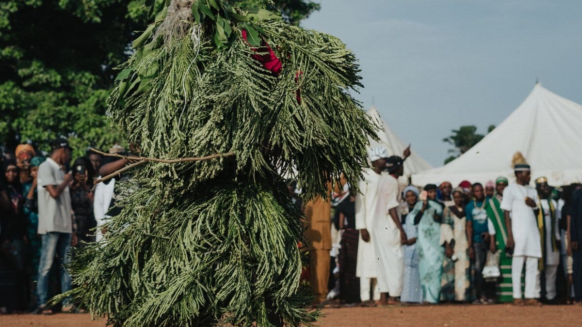 A dancer in a leafy costume performing at an outdoor cultural festival with an audience.