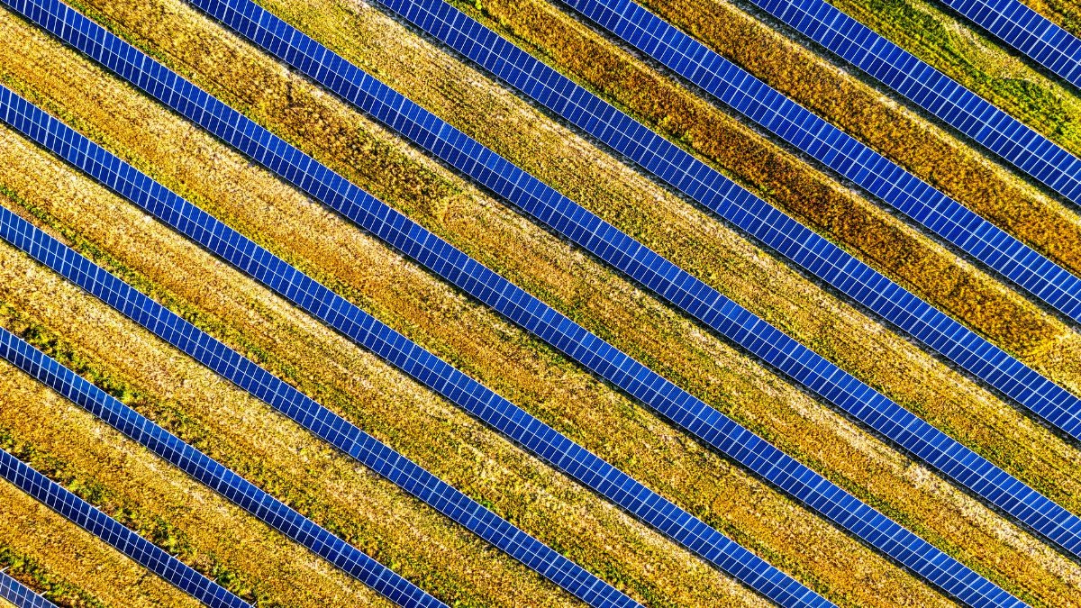 Vibrant aerial shot of solar panels in a field, showcasing renewable energy in Red Wing, MN.
