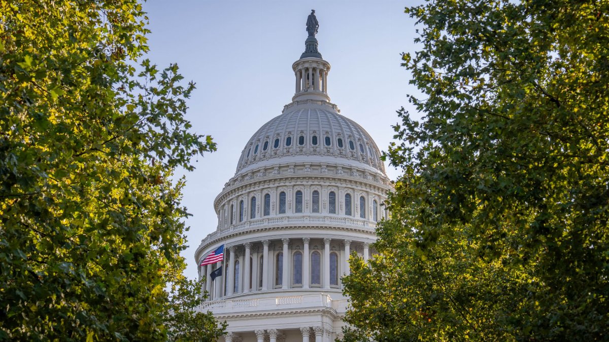 Elegant view of the US Capitol dome framed by trees, bathed in warm sunset light, Washington D.C.