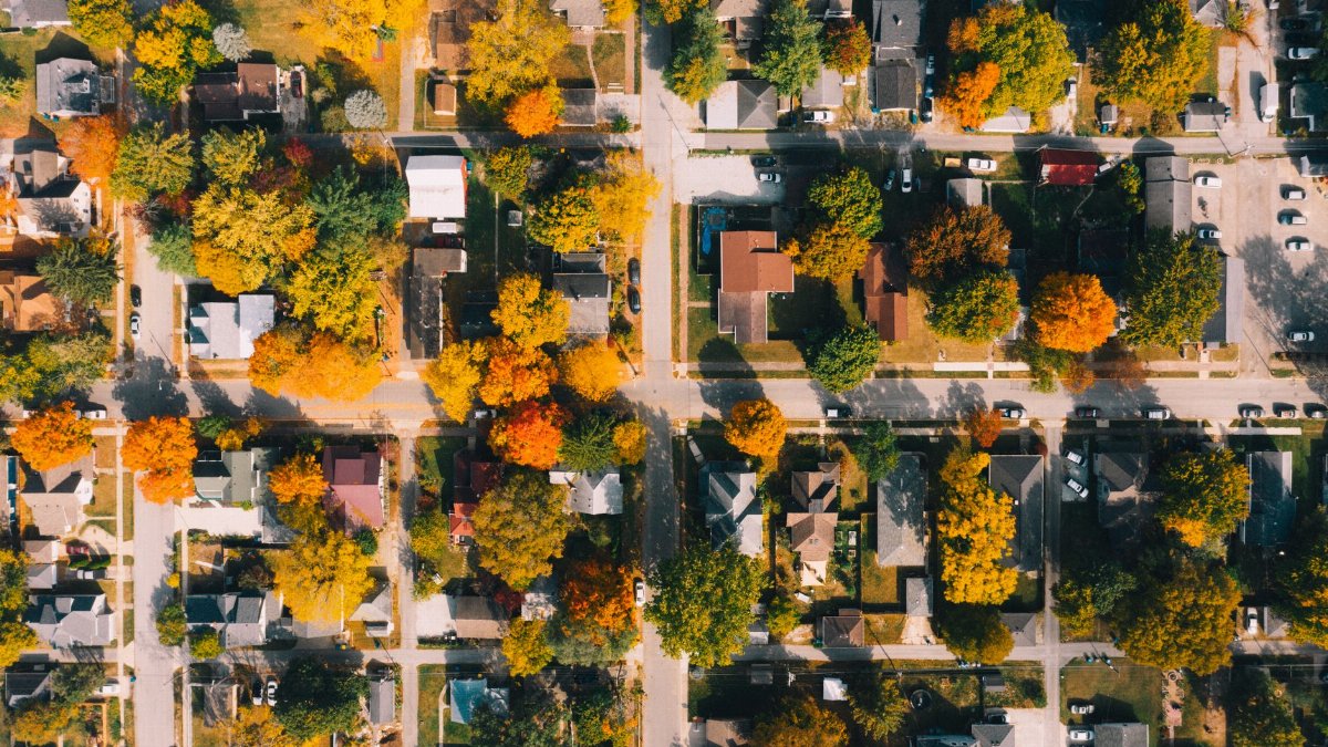 Top view of dwelling buildings between roads and colorful trees in suburb in fall