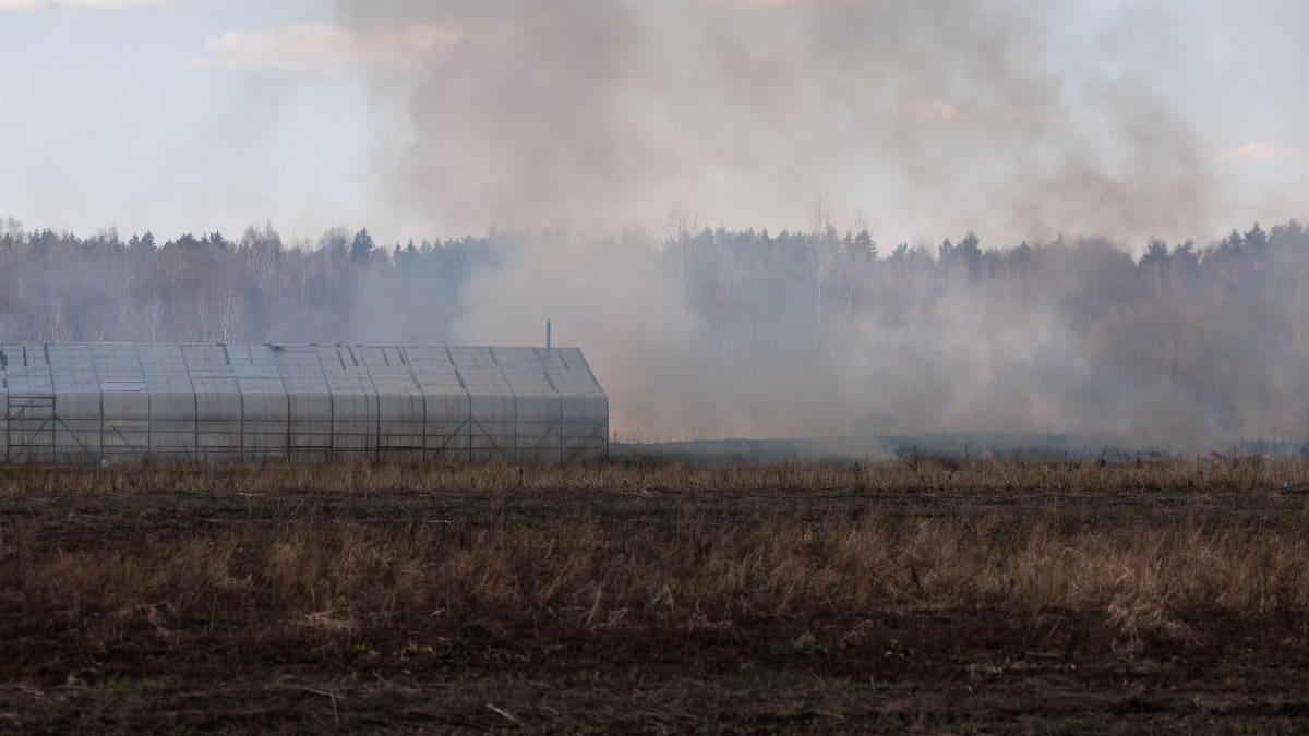 Smoke billows from agricultural field near a greenhouse in Sovetsk, Russia.