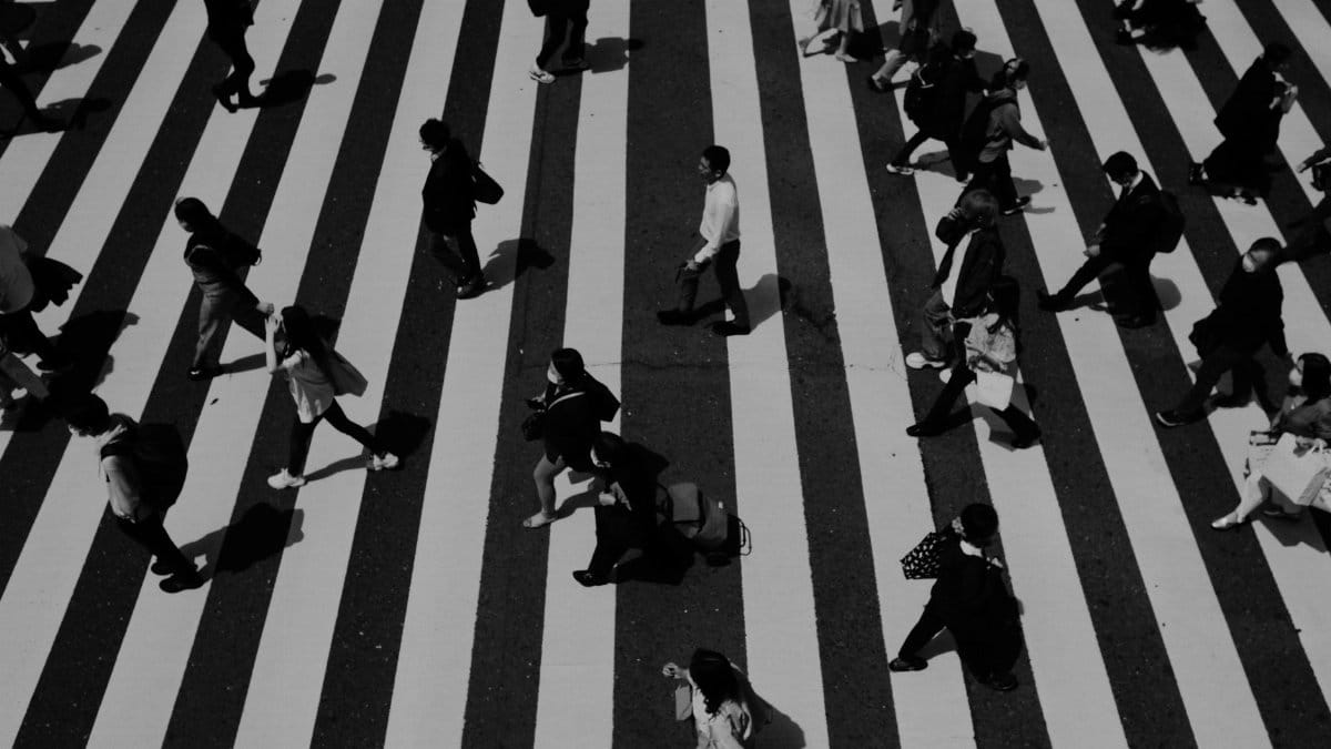 A high angle black and white photo of people crossing a city zebra crossing. Urban life captured.