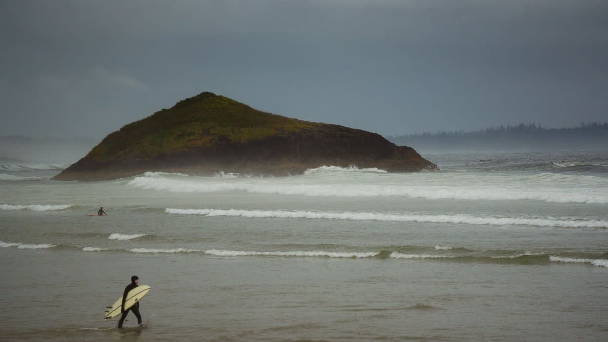 A lone surfer walks along a misty beach with a lush island and gentle waves in the background.