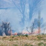 A wildfire with smoke and flames engulfing brush in a woodland area in Poprad, Slovakia.