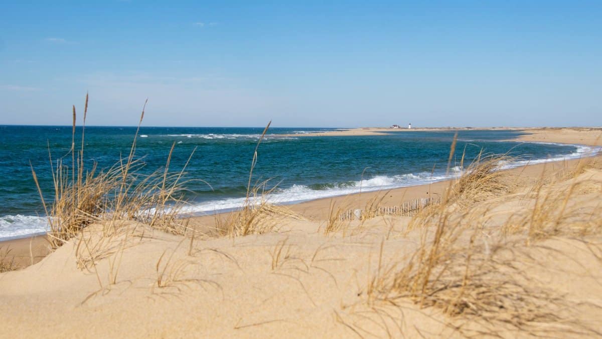 Golden dunes and tranquil shoreline at Cape Cod National Seashore in Provincetown.