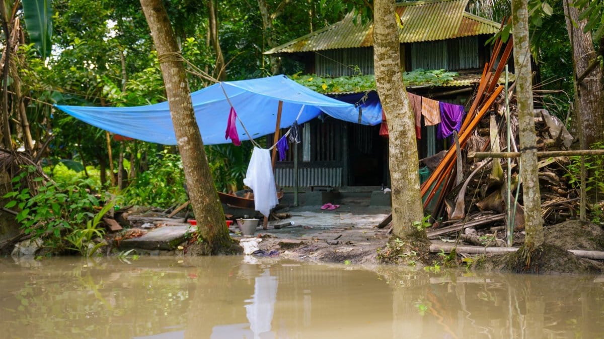 A rural flooding scene showing a makeshift shelter covered by blue tarpaulin amidst lush greenery.