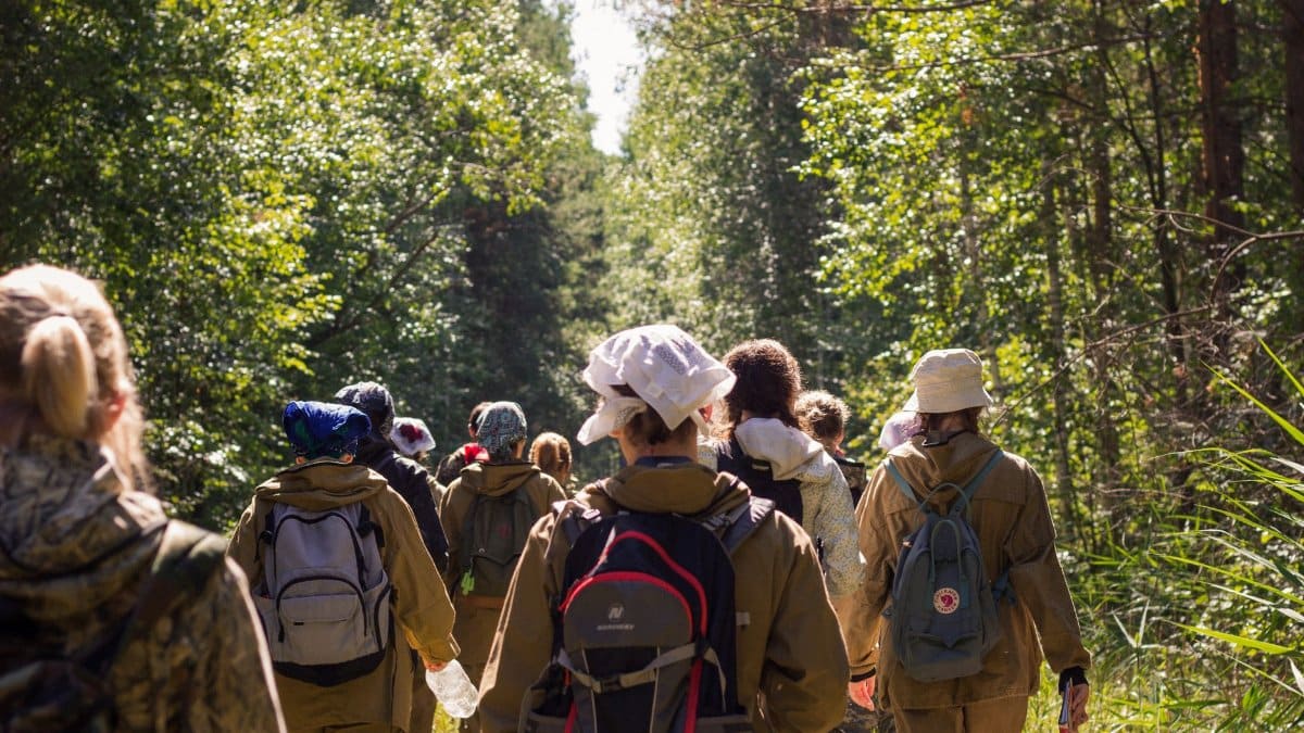 A large group of adults hiking through a vibrant, sunlit forest trail on a summer day.