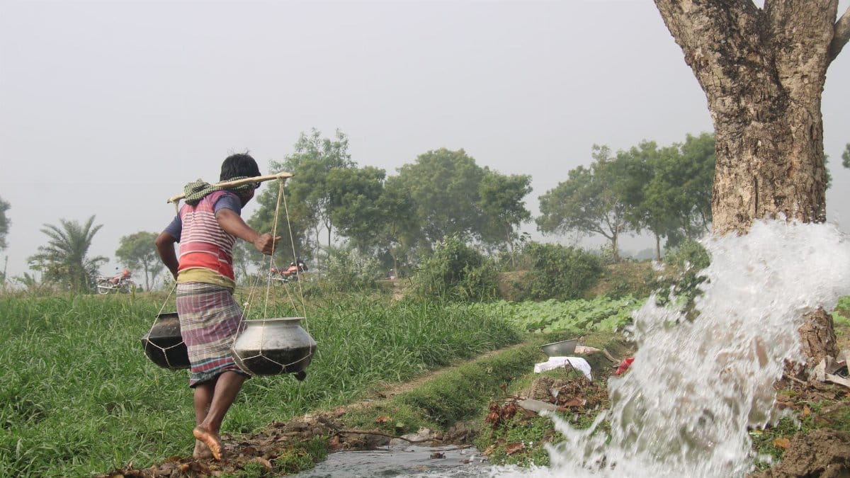 A farmer in Bangladesh carrying water to irrigate crops in a lush green field under a clear sky.