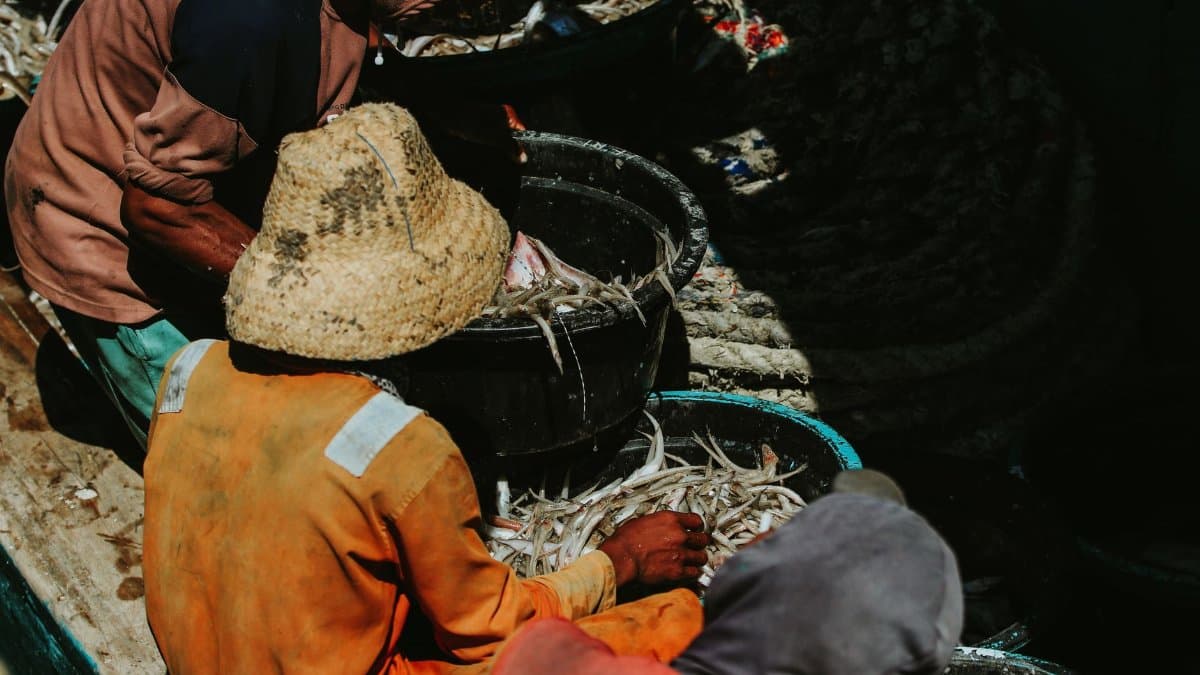 Indonesian fishermen sorting fish on a boat in East Java, showcasing traditional fishing methods.