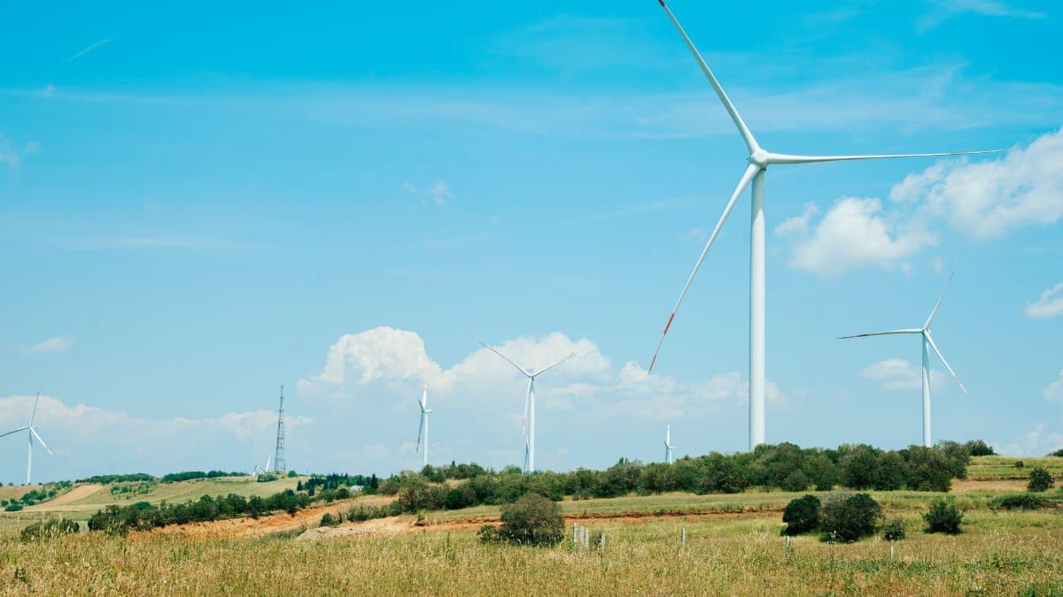 Idyllic scene of wind turbines in a sunny countryside field under a blue sky.