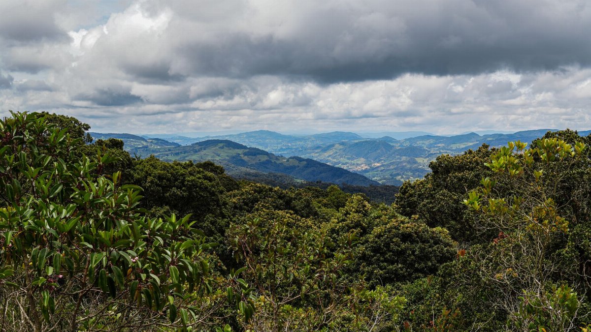 Breathtaking mountain landscape with dense green forests under a cloudy sky.