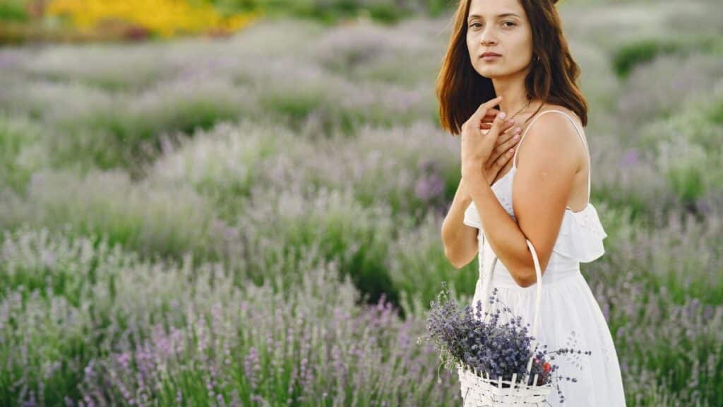 A woman in a white dress holds a woven basket filled with lavender flowers in a picturesque lavender field.