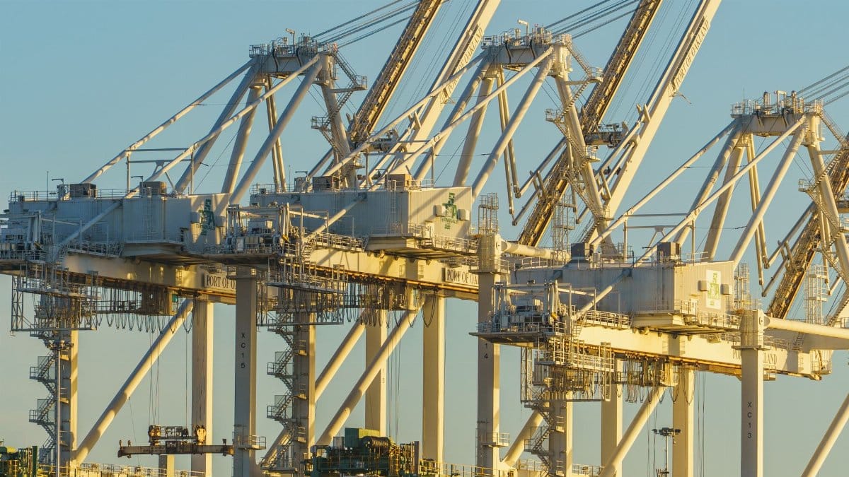 Close-up view of port cranes during sunset at a busy industrial harbor.