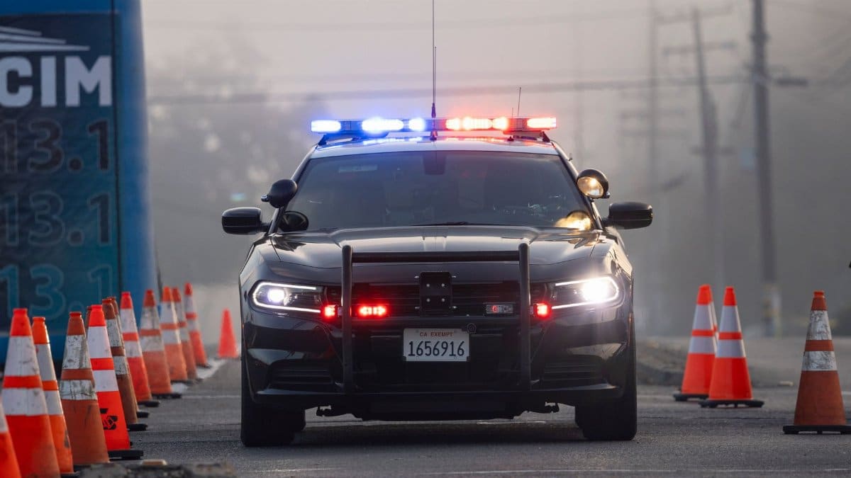 A police car with sirens on at a traffic checkpoint surrounded by cones.