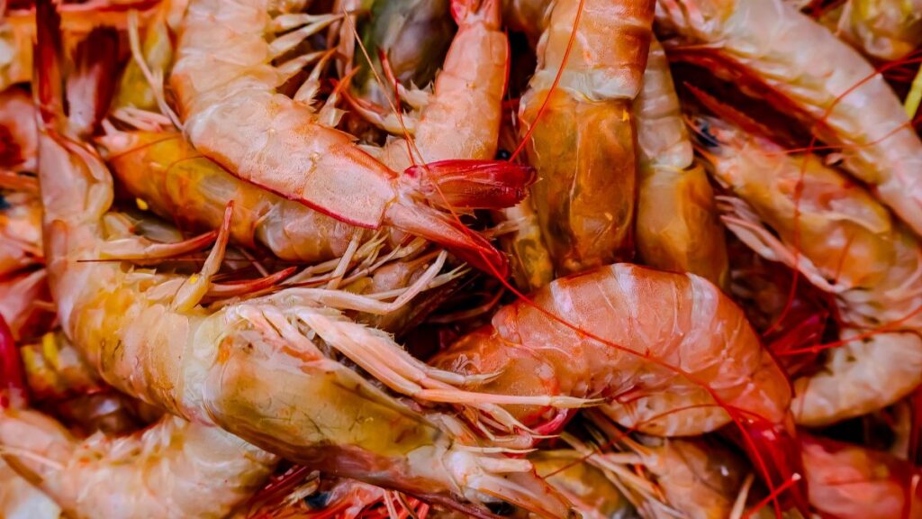 Close-up of a pile of fresh shrimp showcasing vibrant colors with a focus on seafood textures.