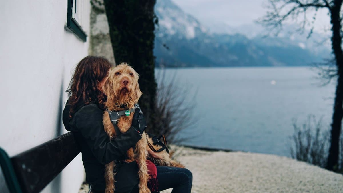 A woman with a dog sitting on a bench by a scenic mountain lake in winter.