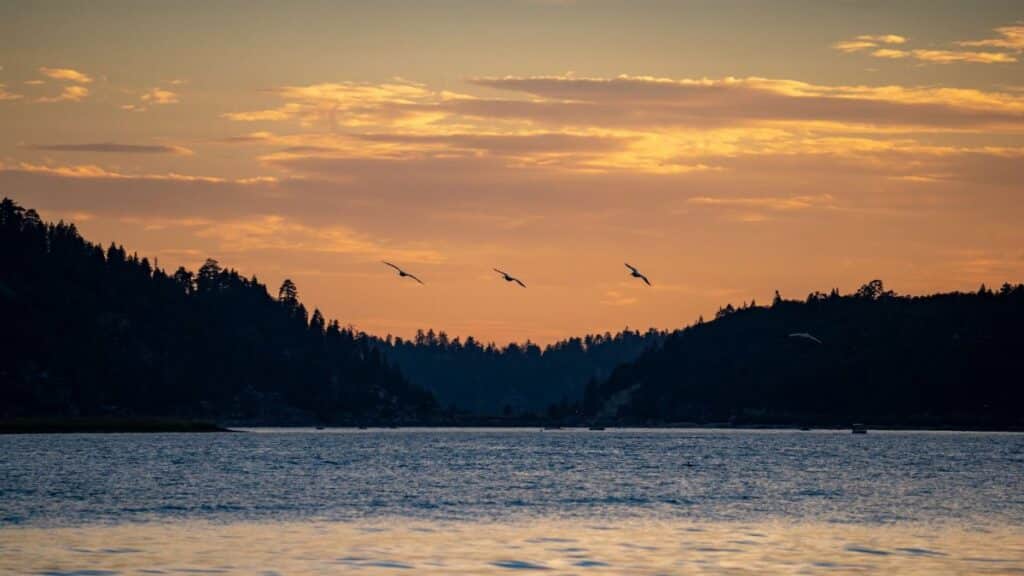 Captivating sunset over Big Bear Lake with birds flying against a colorful sky.