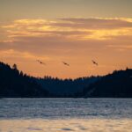 Captivating sunset over Big Bear Lake with birds flying against a colorful sky.