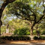 View of Chippewa Square in Savannah featuring lush live oaks and historical architecture.