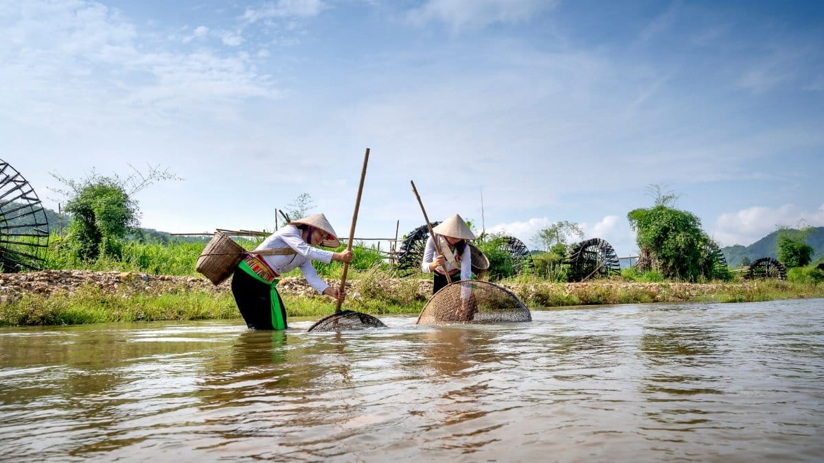 Female fishers in traditional wear with baskets catching fish with tools in tropical village