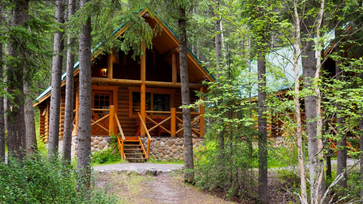Charming wooden cabin nestled among trees, ideal for a serene forest retreat.