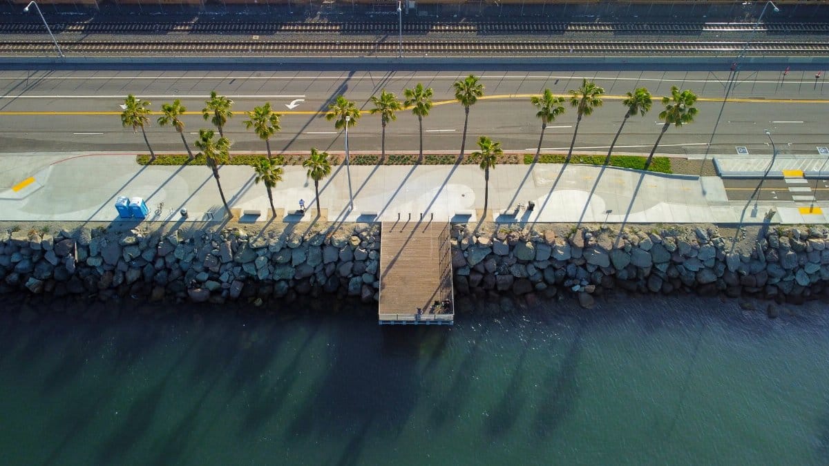 Drone shot of palm-lined promenade and pier at Long Beach, CA, USA.