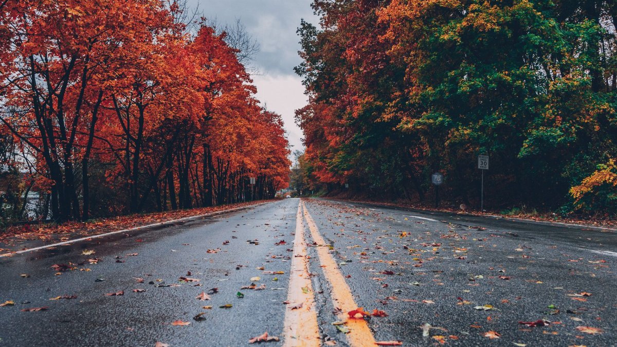 A vibrant autumn scene with colorful foliage lining a wet road in Long Pond, PA.