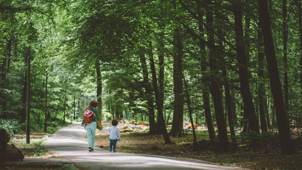 A woman and child walking hand in hand along a forest path. Serene nature scene.