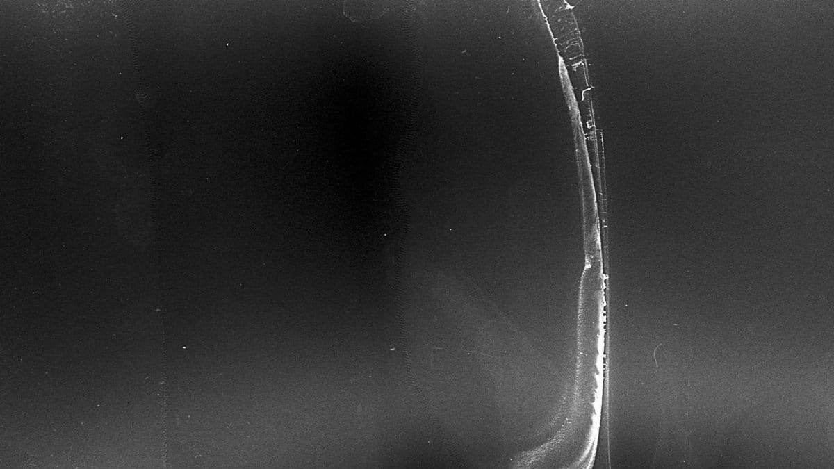 Abstract black and white texture with granular patterns and unique marks.