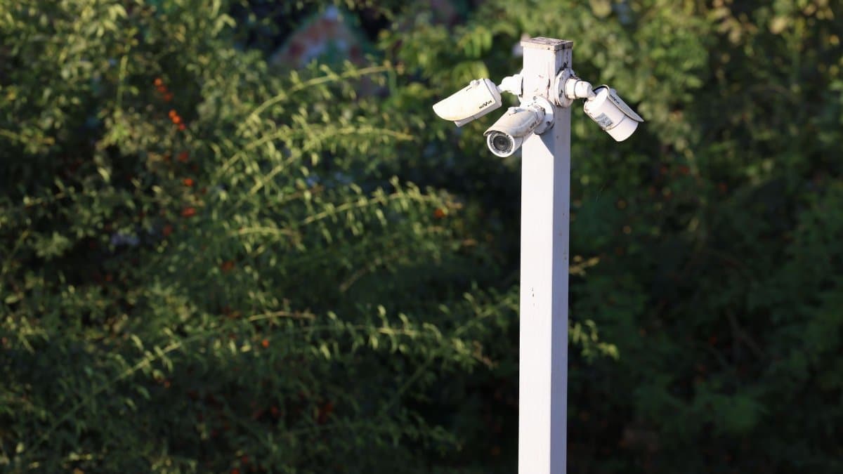 Cluster of surveillance cameras mounted outdoors amidst green foliage for public safety.