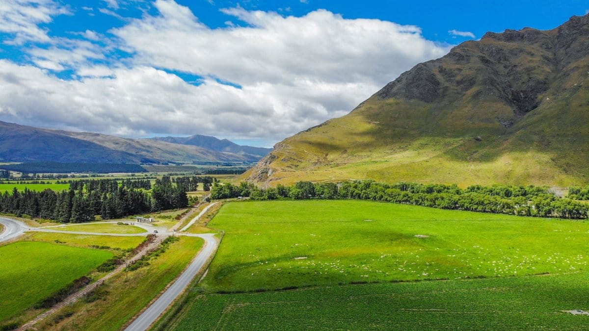 Aerial shot of lush green fields and mountains in New Zealand under a bright blue sky.