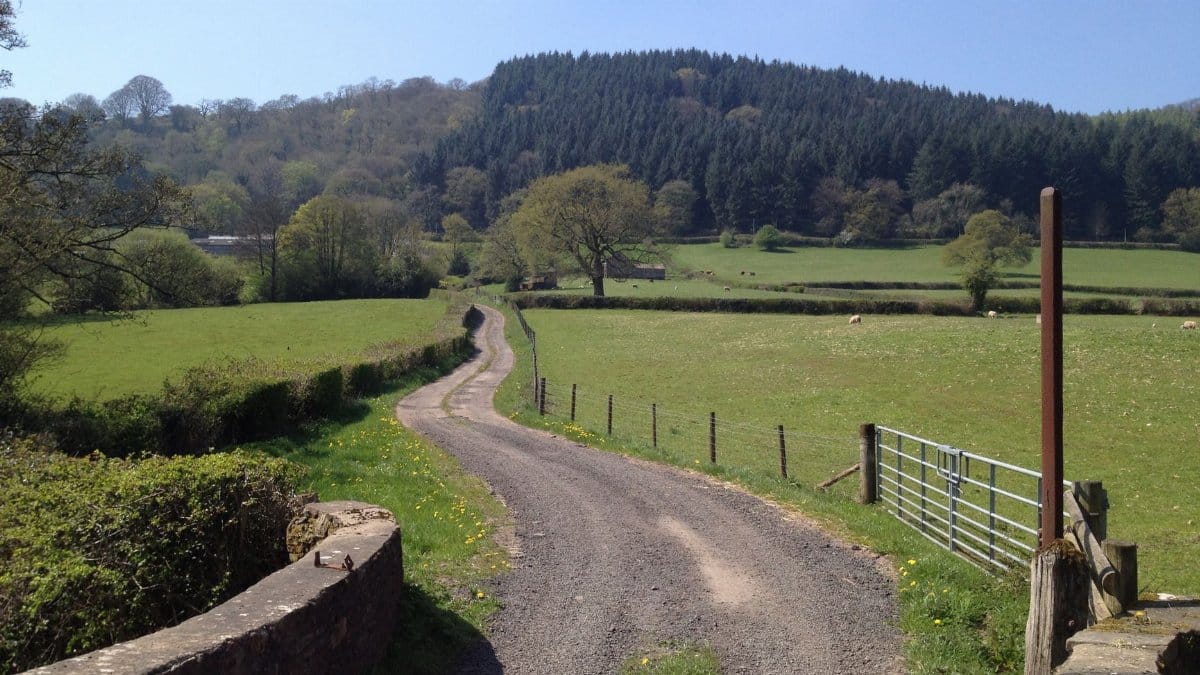 A serene view of a winding pathway through the lush Welsh countryside on a sunny day.