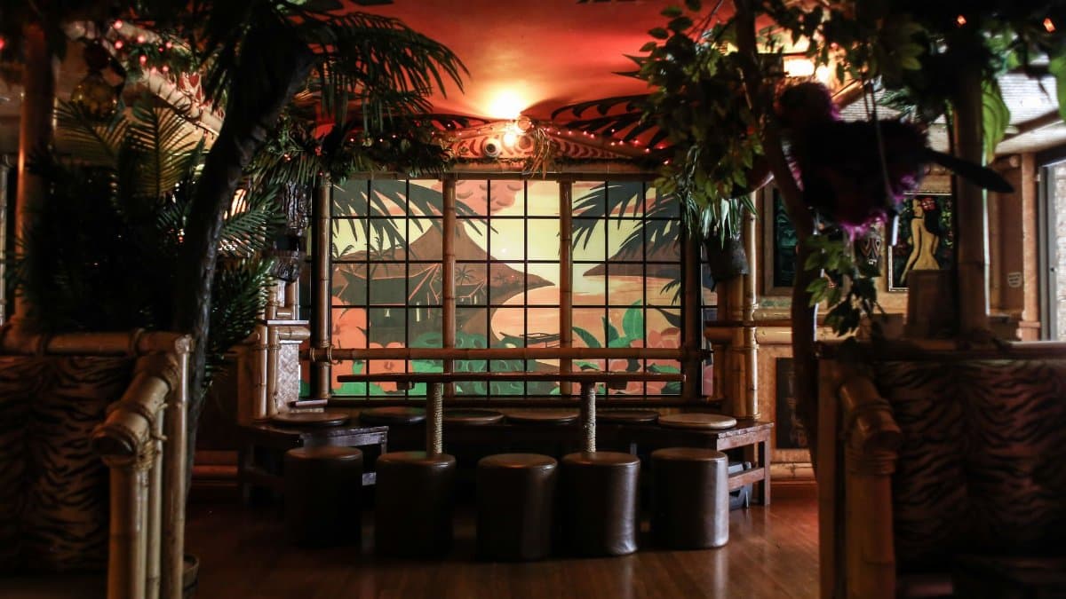 A warm and inviting tropical-themed restaurant interior with lush green plants and artistic decor, perfect for a cozy dining experience.