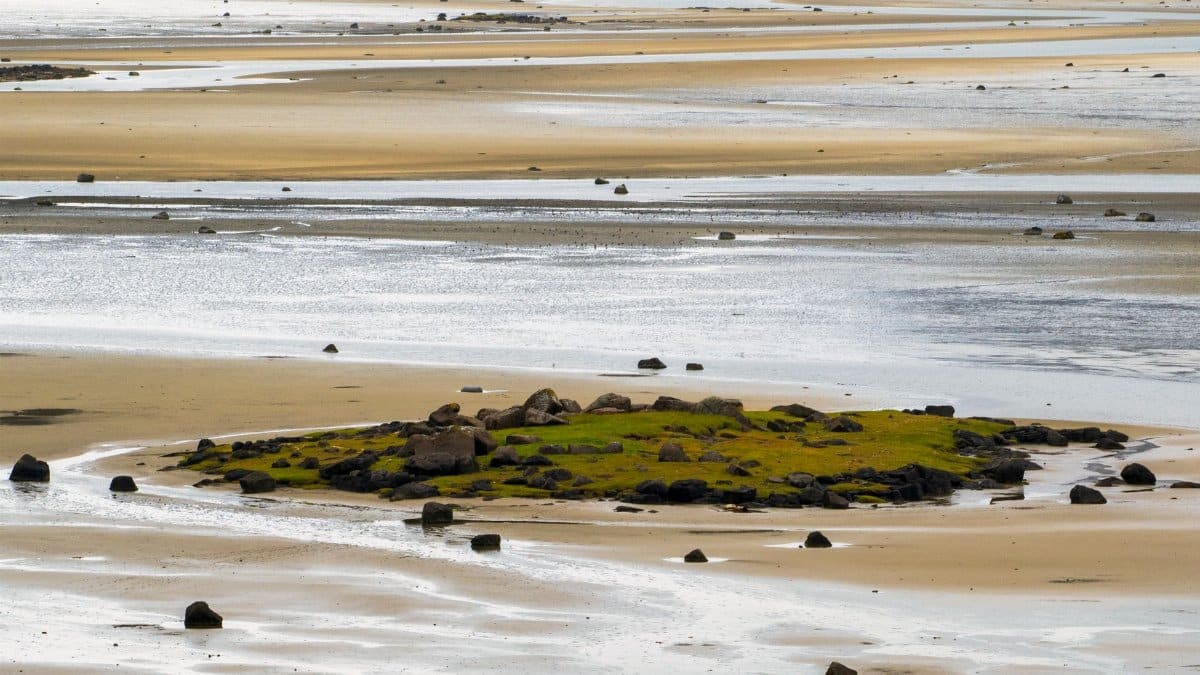 A peaceful sandy landscape with scattered rocks and a mossy patch, ideal for nature themes.