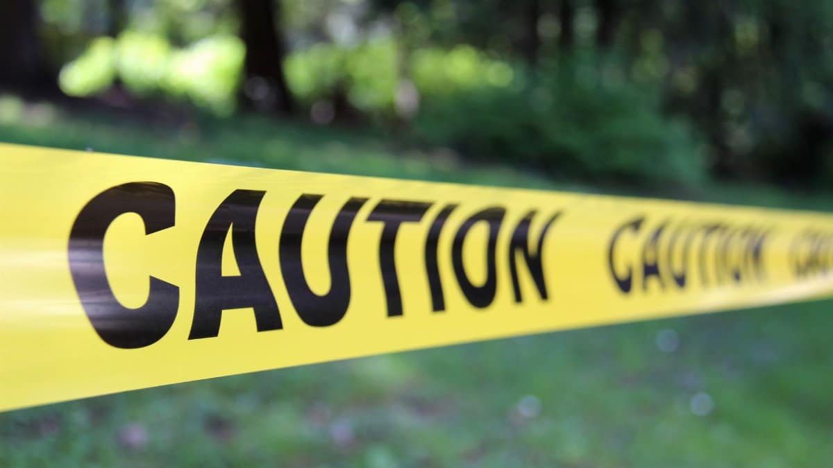 Close-up of yellow caution tape in a forest setting indicating danger or restriction.