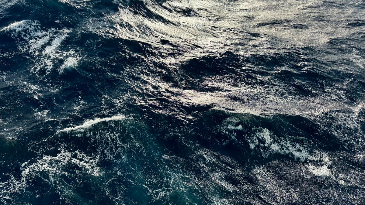 A powerful view of ocean waves reflecting sunlight, capturing the raw beauty of the sea.