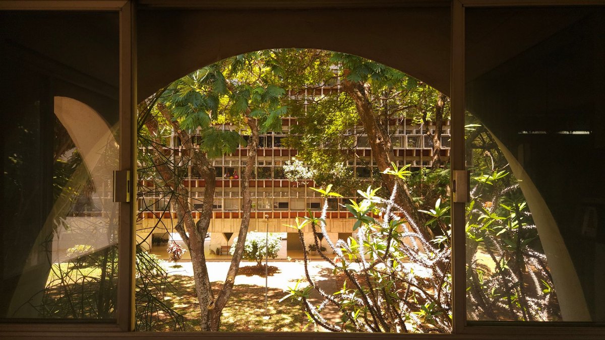 A scenic view from an indoor window showcasing trees and a building facade on a sunny day.
