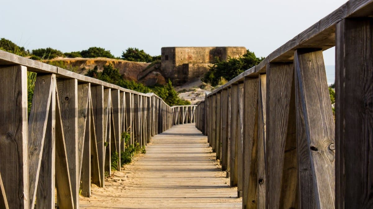 Scenic view of a wooden boardwalk leading to historic ruins amid natural surroundings.