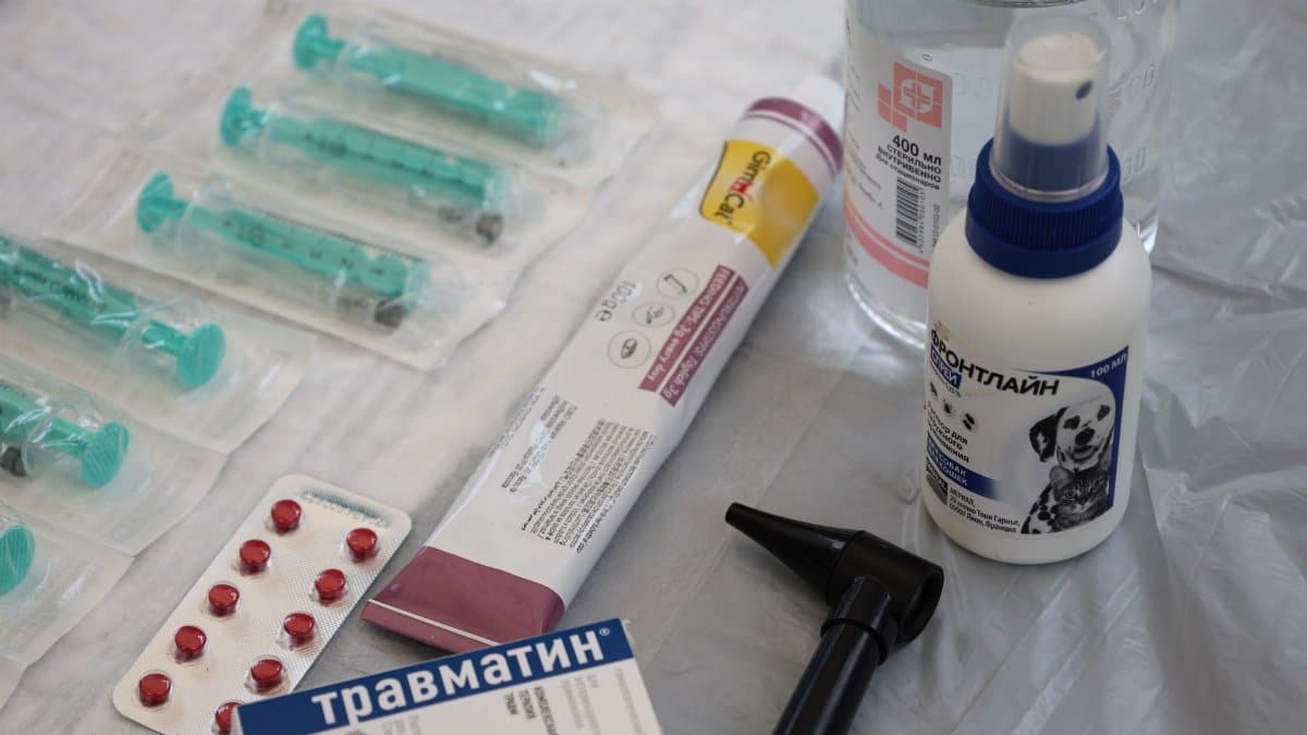 Veterinary medical supplies including syringes, pills, and spray displayed on a table.