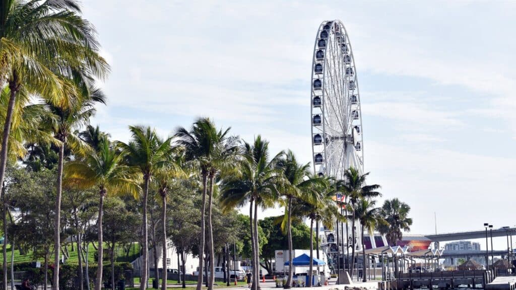 Ferris wheel near palm-lined waterfront in Miami, capturing a sunny day scene.
