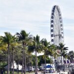 Ferris wheel near palm-lined waterfront in Miami, capturing a sunny day scene.