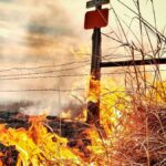 Dramatic image of a grass fire blazing near a barbed wire fence in a rural Kansas field.